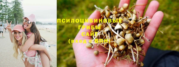 первитин Покров