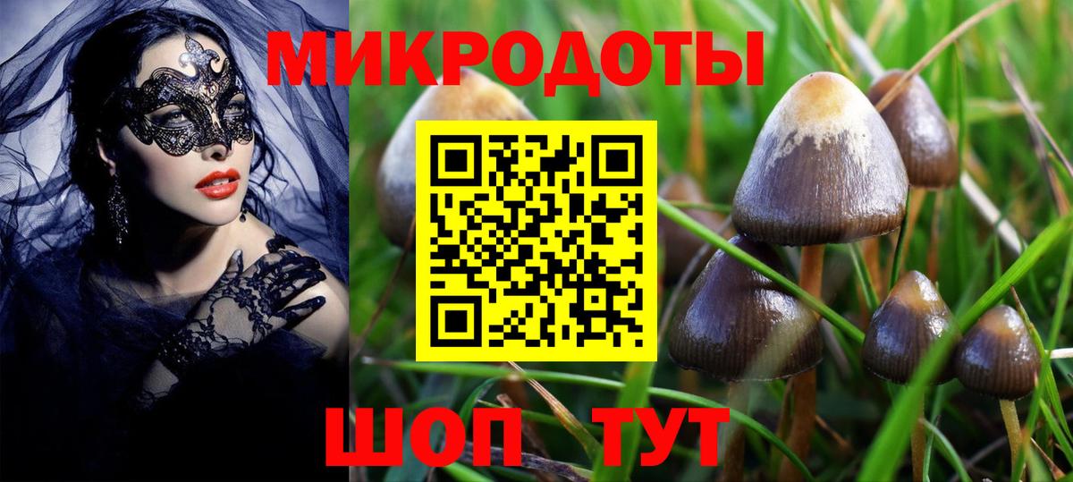 Рассказово  Псилоцибиновые грибы мицелий  Вход с VPN 