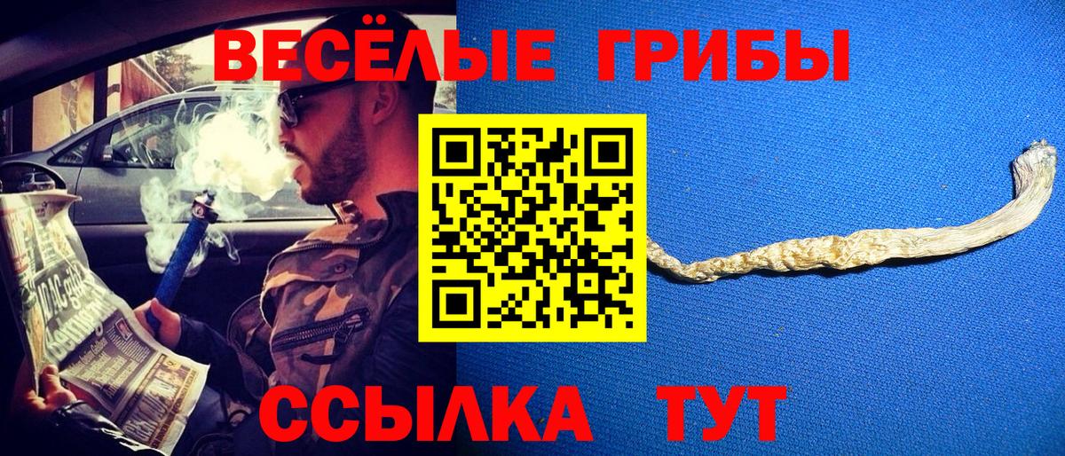 Псилоцибиновые грибы мухоморы Рассказово